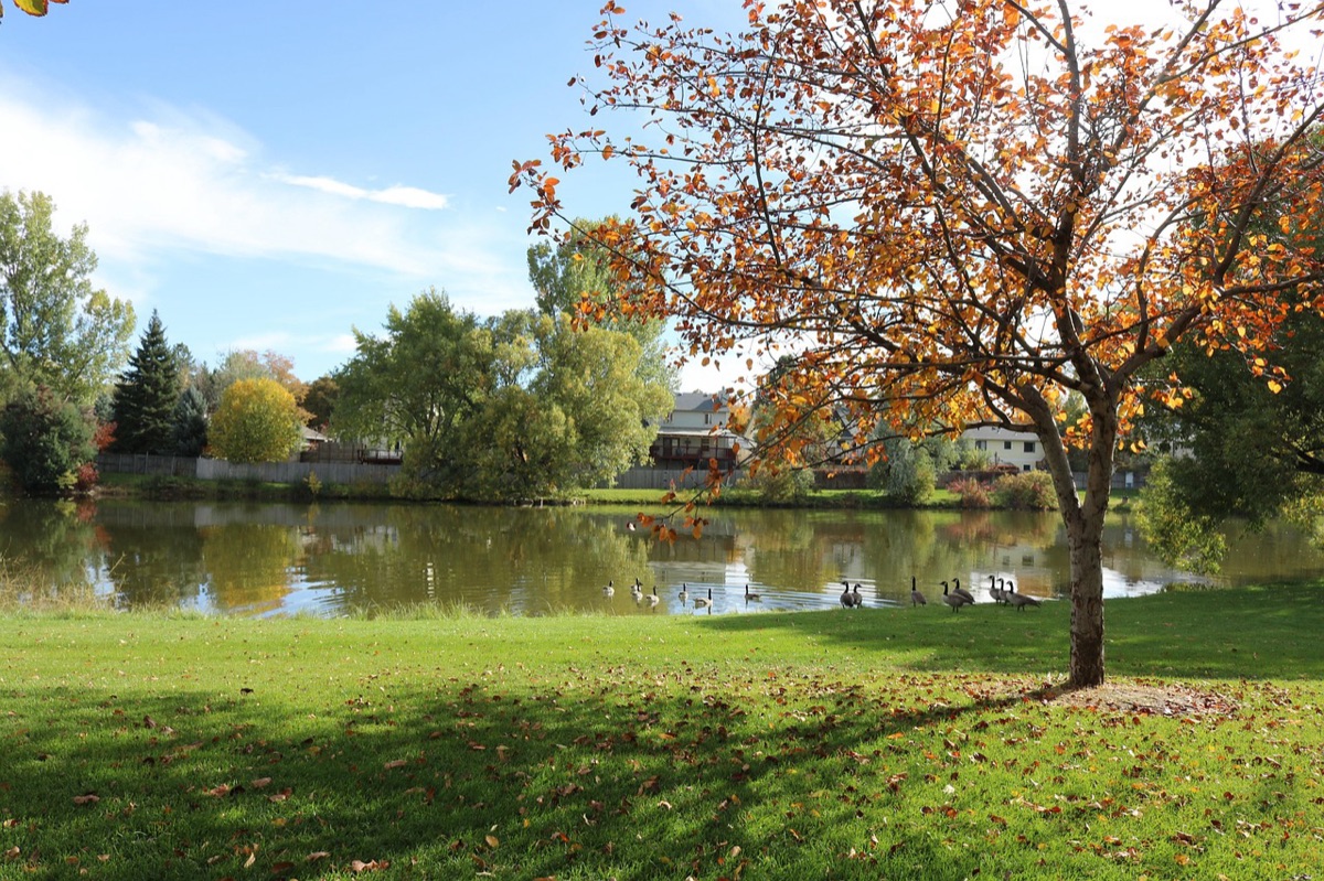 Allen Park in Greeley, Colorado with autumn foliage and lake